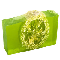 Aloe Loofah - Demosoap